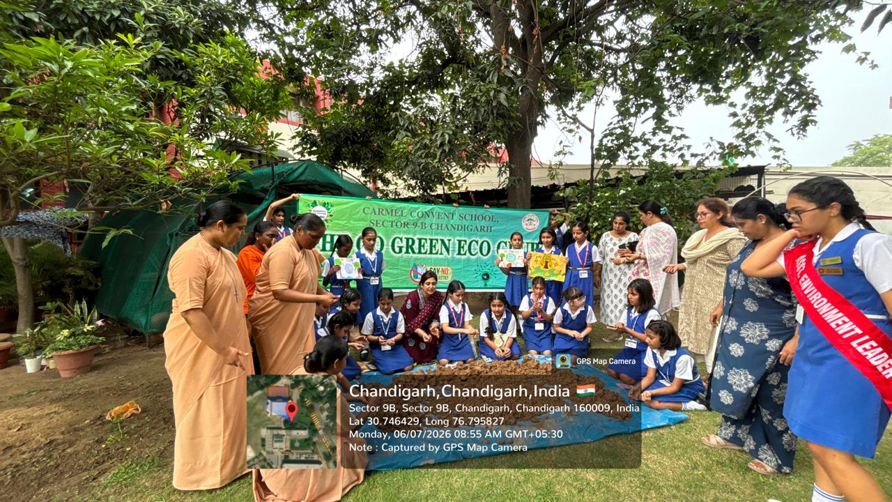 Van Mahotsav Celebration 